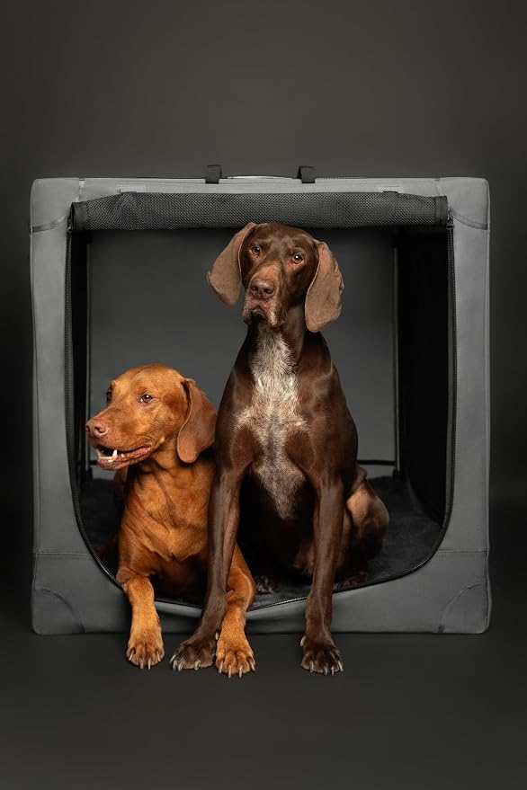 Noah & Paw Collapsible Dog Crate 42 Inch, XXL Dog Crate for XXL, XL, Large Breeds, Travel Kennel for Car, Includes Pet Mat for Pet Cage, 2 Storage Pockets, Handbag, 10mm Locking Zippers 42 * 31 * 31 - Image 9