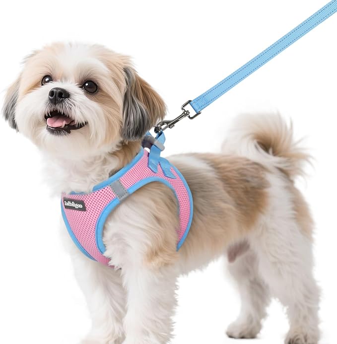 rabbitgoo Dog Harness Small Sized and Leash Set, Step in Soft Vest | Breathable Mesh, Easy Wear with Hook & Loop, Light and Reflective for Walking, Multi-colored, Pink & Blue, S by rabbitgoo