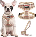 PUPTECK Small Dog Harness and Leash Set No Pull for XS XXS Sized Dogs Puppy | Escape Proof No Choke Pet Cat Adjustable Soft Padded Walking Vest by PUPTECK
