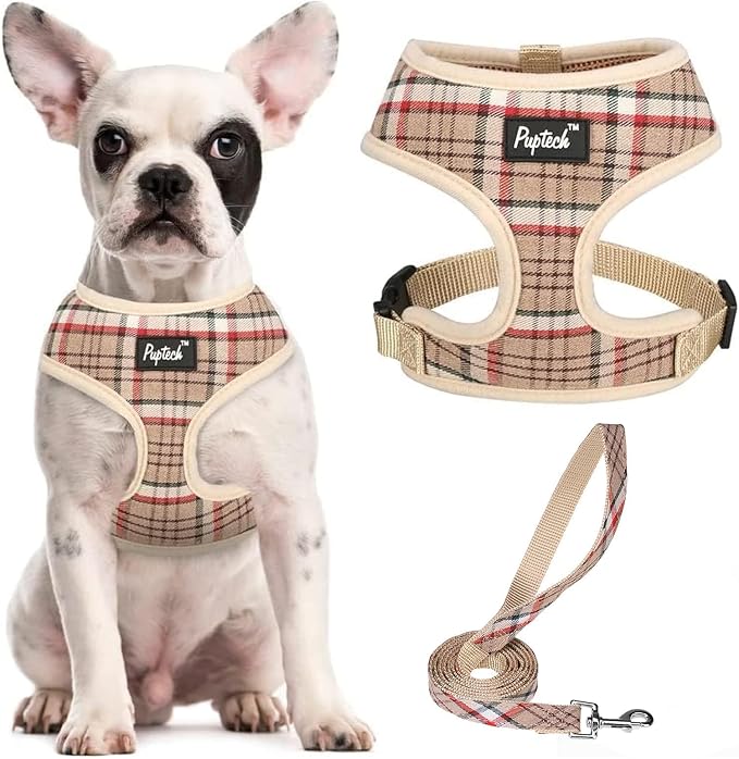 PUPTECK Small Dog Harness and Leash Set No Pull for XS XXS Sized Dogs Puppy | Escape Proof No Choke Pet Cat Adjustable Soft Padded Walking Vest by PUPTECK