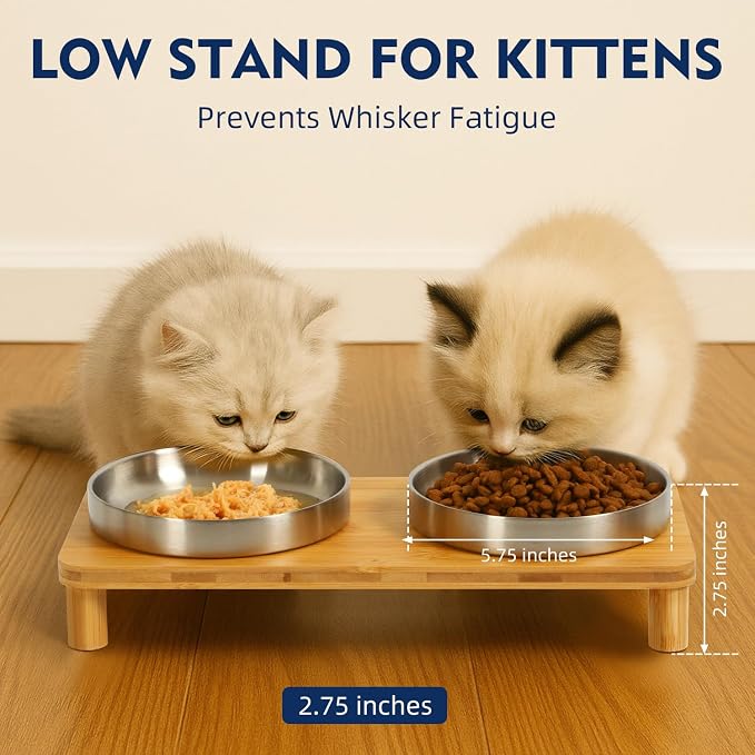 DoogCat Raised Cat Bowls, Bamboo Stand with 2 Stainless Steel Bowls | Adjustable Height, Whisker-Friendly Design, Food & Water Set, Stable Construction, Easy to Clean - Image 3
