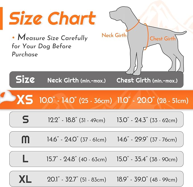 Eagloo Dog Harness for Small Dogs, No Pull Pet Vest with 2 Leash Clips | No Choke with Handle, Adjustable Comfort Fit, Reflective Strips, Easy Walking Control, Orange, X-Small - Image 2