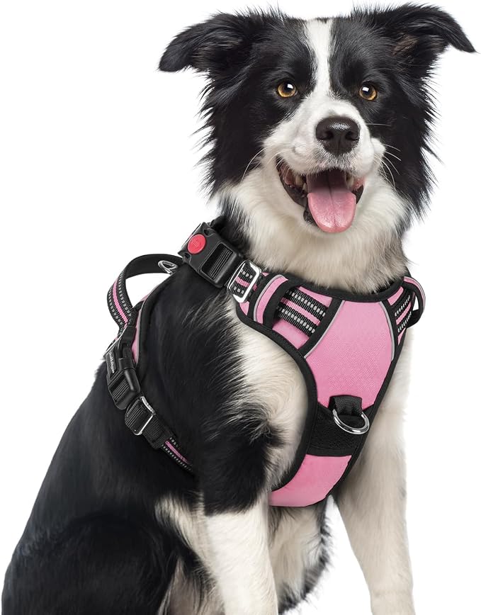 rabbitgoo Dog Harness Medium Sized, No Pull 3 Buckles Easy On & Off | Soft Padded, Walking with Control Handle, Adjustable and Reflective, Light Pink, Medium by rabbitgoo
