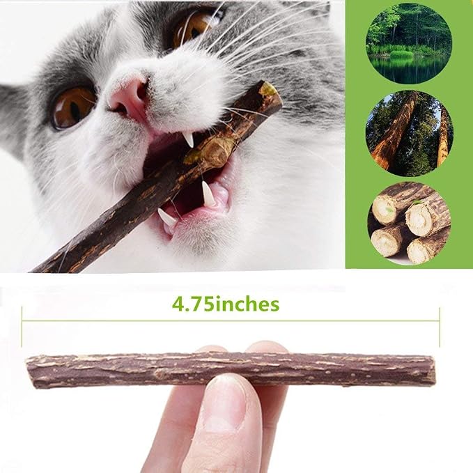 10 PCS Catnip Sticks Organic Cat Chew Toys Natural Plant Matatabi Silvervine Chew Sticks Teeth Cleaning Chew Toy Kitten Kitty - Image 2