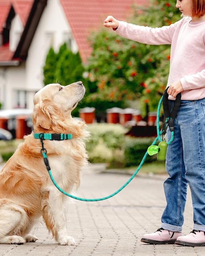 Dynmeow Reflective Dog Collar and Leash Set for Large Dogs, Teal | Soft Neoprene Padded, 6FT Climbing Rope, Ideal for Daily Outdoor Walking or Indoor Wearing, Night Visible for Safety - Image 5
