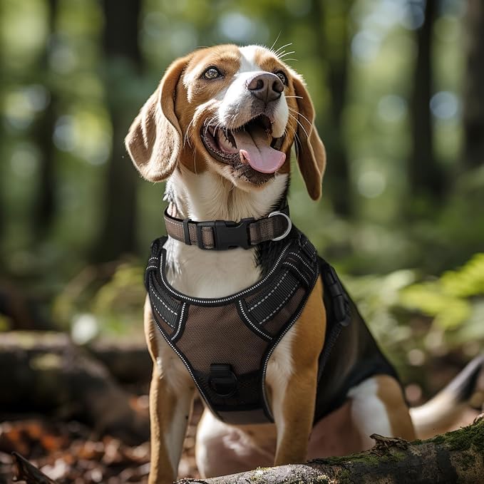 Joytale Reflective Dog Collar, Adjustable Neoprene Padded, Brown M | Breathable Nylon for Medium Dogs, No Chafing on Walks and Backyard Play, All-Day Comfort, Metal D-Ring, Night Safety - Image 2