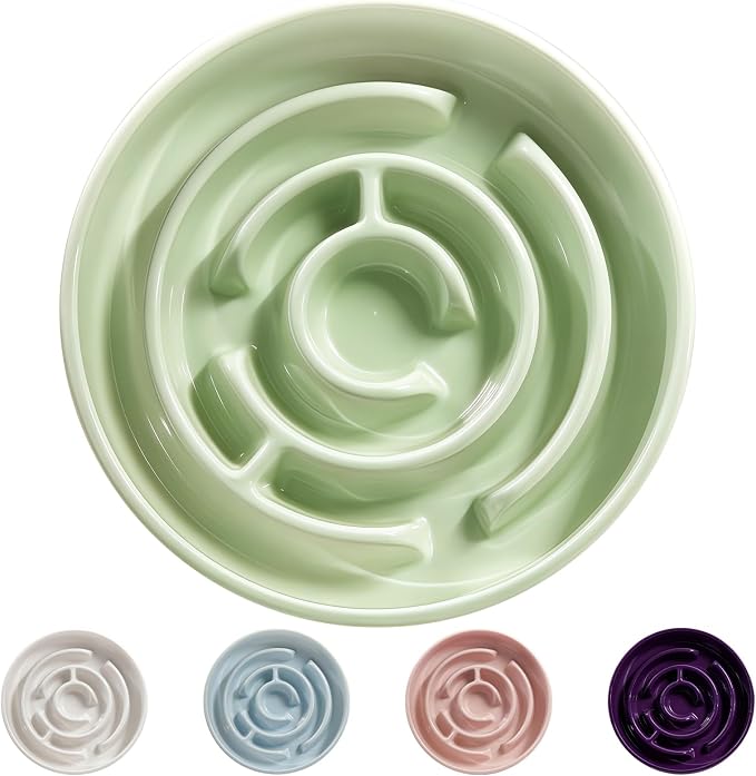 Ceramic Slow Feeder Dog Bowl,1.5 Cups Pet Slow Feeder for Small and Medium Breed,Puzzle Dog Food Dish,Anti-Gulping,Stop Bloat,Preventing Choking(Green) by Soniuong