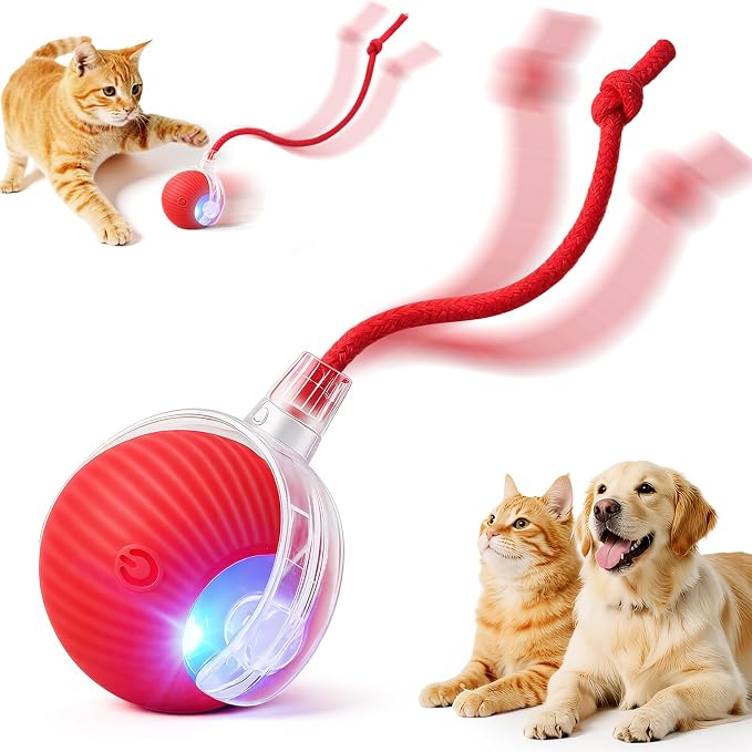 Interactive Automatic Rolling Electronic Stimulation Chase Ball Cat Dog Toy | Smart Electric Moving Stimulating Rechargeable Motion Activated Self Play Teaser for Boredom Small Dog Puppy Pet, with Rope by Unknown