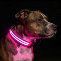 Light Up Dog Collar for Night Walking, Reflective LED Collar(Pink, Large) | Bright Safety Glow in the Dark, Adjustable Comfort Fit, Waterproof, Long Runtime, Easy USB-C Charging by PetIsay