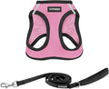 Best Pet Supplies Voyager Step-in Air All Weather Mesh Harness and Reflective Dog 5ft Leash Combo with Neoprene Handle, for Small, Medium and Large Breed Puppies - Pink Base, Medium by BestPetSuppliesLLC