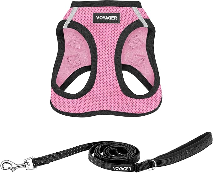 Best Pet Supplies Voyager Step-in Air All Weather Mesh Harness and Reflective Dog 5ft Leash Combo with Neoprene Handle, for Small, Medium and Large Breed Puppies - Pink Base, Medium by BestPetSuppliesLLC