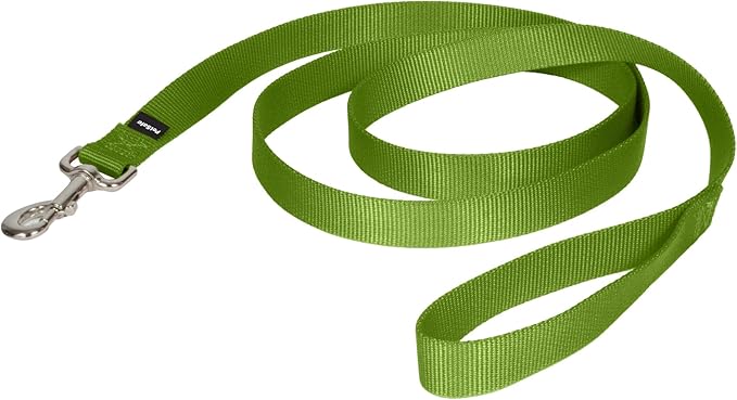 PetSafe Nylon Dog Leash - Strong, Durable, Traditional Style Leash with Easy to Use Bolt Snap - 1 in. x 6 ft., Apple Green | Durable Nylon Leash with Easy on/off Bolt Snap Hook, Pairs Perfectly with Easy Walk Harness and Gentle Leader Headcollar by PetSafe