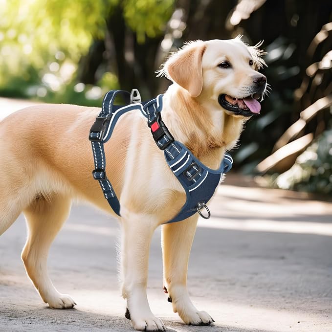 Timos Dog Harness, No Pull Large Sized with 3 Buckles, Royal Blue, XL | Reflective, No Choke, Easy On & Off, Adjustable Soft Padded, Front & Back 2 Clips and Control Handle for Walking Training - Image 6