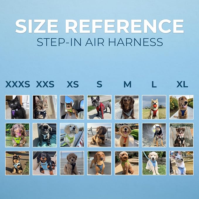 Best Pet Supplies Voyager Step-in Air All Weather Mesh Harness and Reflective Dog 5ft Leash Combo with Neoprene Handle, for Small, Medium and Large Breed Puppies - Blue/Black Trim, X-Large - Image 6