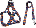 Dog Harness Leash Set Adjustable Heavy Duty No Pull Halter Harnesses for Small Medium Large Breed Dogs Back Clip Anti-Twist Perfect for Walking by QQPETS