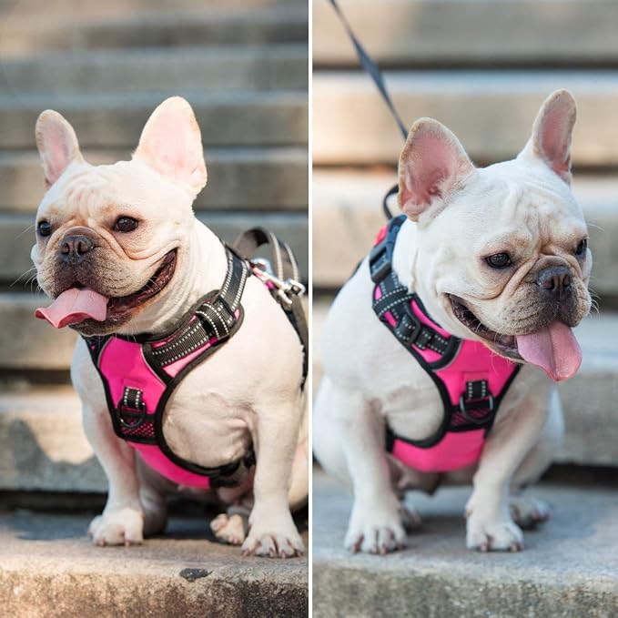 PoyPet No Pull Dog Harness Small with Front Clip & Neck Release Buckle | No Choke, Adjustable Vest, Reflective, Back Clip, Lockable, Soft Padded, Easy Control Handle for Walking Training, XS, Pink - Image 9