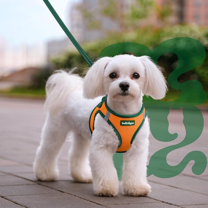 rabbitgoo Dog Harness Small Sized and Leash Set, Step in Soft Vest | Breathable Mesh, Easy Wear with Hook & Loop, Light and Reflective for Walking, Multi-colored, Orange & Dark Green, L - Image 8