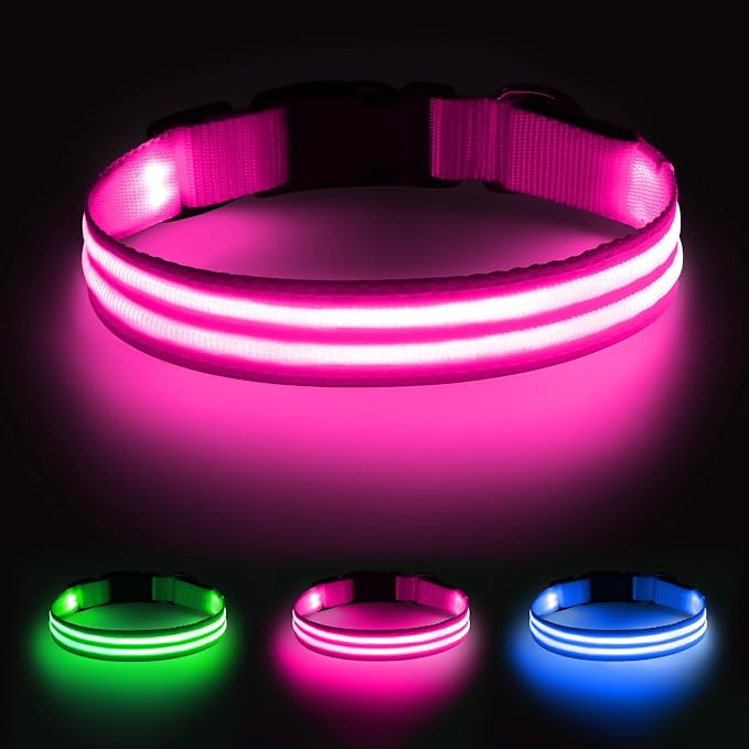 Illumifun Light Up Dog Collar USB Rechargeable LED Dog Collar Glow in the Dark, Adjustable Lighted Collar Light for Your Small Dogs Night Walking (Pink, Small) by Illumifun