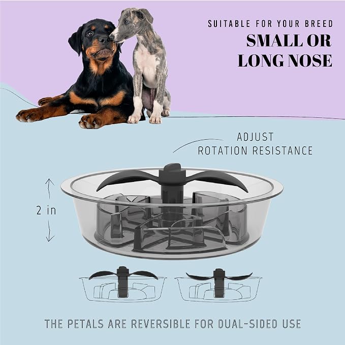 AVERYDAY Slow Feeder Dog Bowls for Medium Breed, 1.5 Cups Deep Food Puzzle Bowl with Spinning Slow Feeder Insert, Non-Slip Bottom, Fits for Raised Stand, Hard Maze Design for Small and Medium Dogs - Image 4