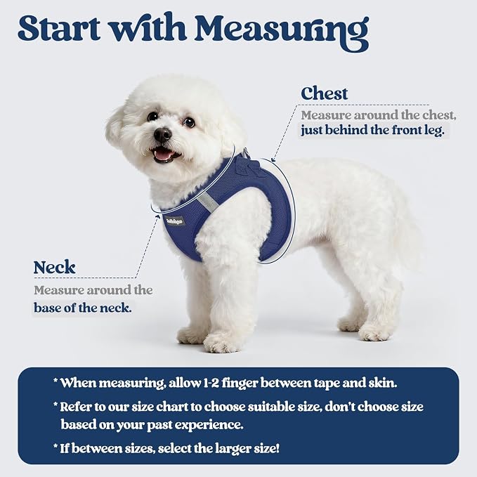 rabbitgoo Dog Harness Small Sized and Leash Set, Step-in Puppy Pet Vest | Light, Soft, Breathable Air Mesh, Easy on and Remove with Hook & Loop, Secure Reflective for Walking, Navy Blue XS - Image 2