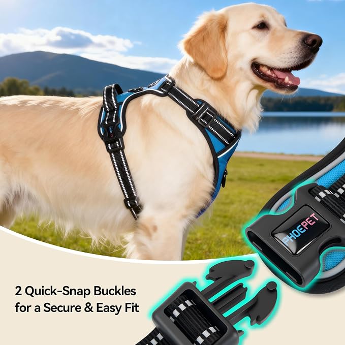 No Pull Dog Harnesses for Small Puppies Reflective Adjustable | Front Clip Vest with 2 Metal Leash Attachment Hooks Soft Handle(XS, Blue) - Image 7