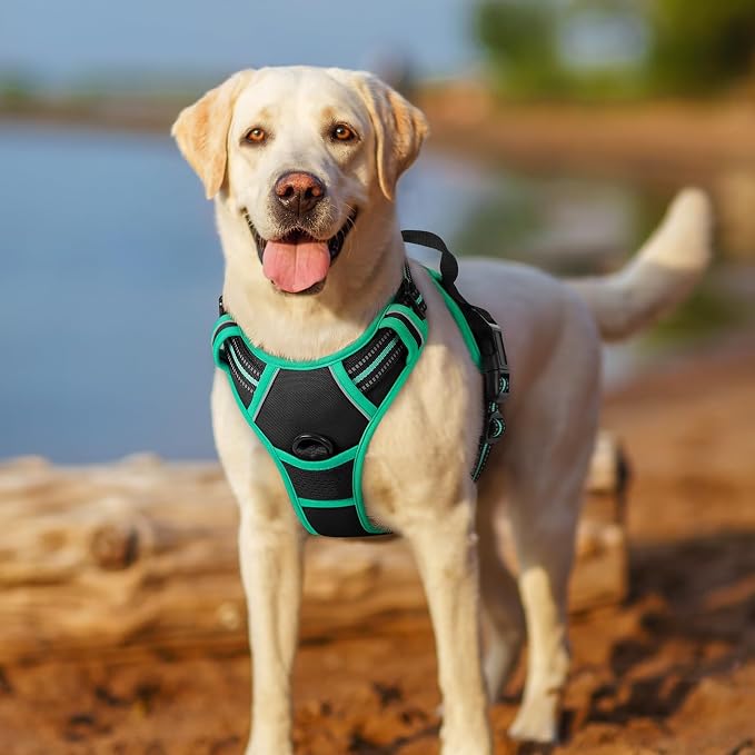 rabbitgoo Dog Harness, No Pull for Small Dogs with 2 Leash Clips, Pet Vest | No Choke with Handle, Adjustable Soft Padded, Reflective, Easy Control for Walking, Black & Turquoise, Small - Image 7
