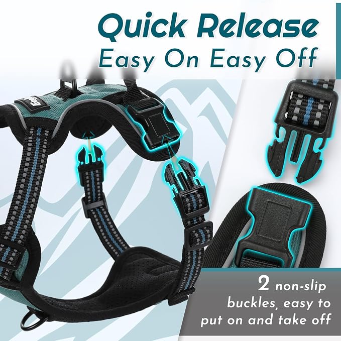 Eagloo Dog Harness for Small Dogs, No Pull Pet Vest with 2 Leash Clips | No Choke with Handle, Adjustable Comfort Fit, Reflective Strips, Easy Walking Control, Dark Green, X-Small - Image 6