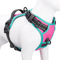 Upgraded No Pull Dog Harness, Reflective Adjustable Vest | with a Training Handle + 2 Metal Leash Hooks+ 3 Snap Buckles +4 Slide Buckles(S, Pink) by PHOEPET