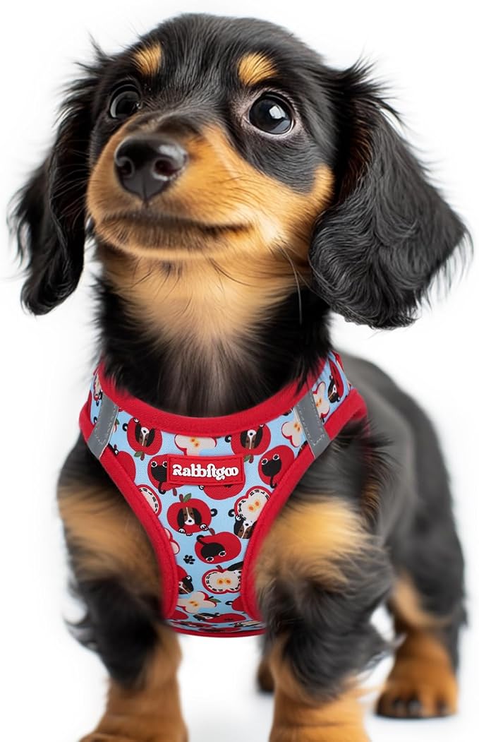 rabbitgoo Step-in Small Dog Harness, Puppy Vest for Small Sized Pet | Easy Put on and off, Lightweight, Soft, Breathable Quick-Dry Air Mesh for Comfortable Secure Walking, Apple Pups XXS by rabbitgoo