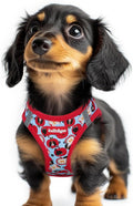 rabbitgoo Step-in Small Dog Harness, Puppy Vest for Small Sized Pet | Easy Put on and off, Lightweight, Soft, Breathable Quick-Dry Air Mesh for Comfortable Secure Walking, Apple Pups XXS by rabbitgoo