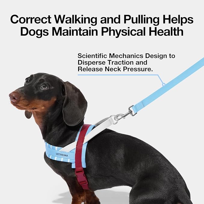 VETRESKA Dog Harness and Leash Set, Adjustable Pet Harness Easy Control, S | No Choke Dog Harness for Small, Medium Dogs, Cats, Kitten, Dog Vest Harness with Anti-Tangle Leash (Misty Melo) - Image 4