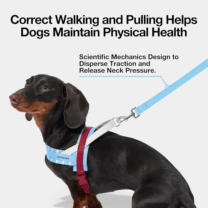 VETRESKA Dog Harness No Pull, Easy Control No Choke Pet Harness Collar, L | for Large Medium Size Dogs, Adjustable Dog Vest, Easy Walk Pet Vest Harness with Heavy Duty Anti-Twist Dog Leash (Misty Melo) - Image 4