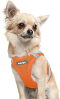 rabbitgoo Step-in Small Dog Harness, Puppy Vest for Small Sized Pet | Easy Put on and off, Lightweight, Soft, Breathable Quick-Dry Air Mesh for Comfortable Secure Walking, Blue & Orange XXXS by rabbitgoo