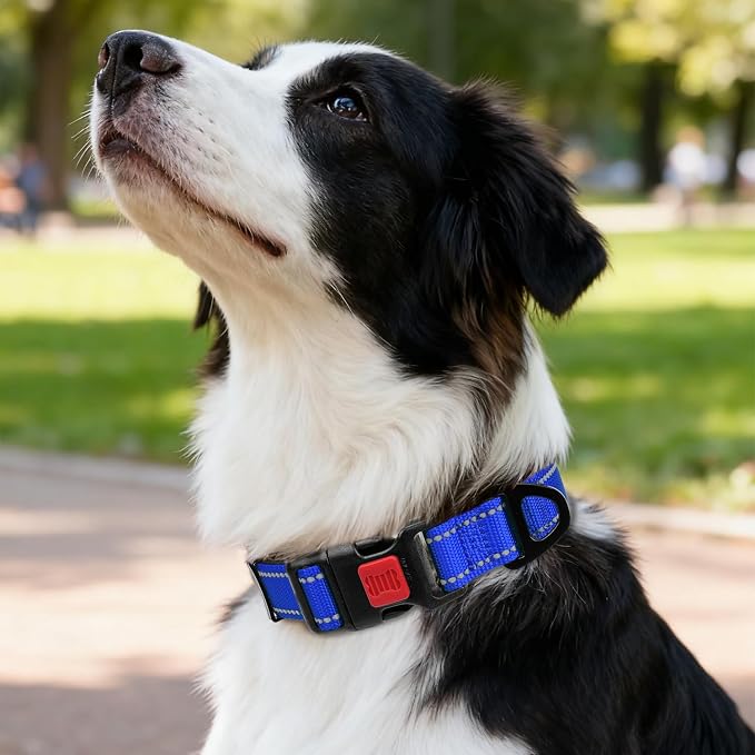 Taglory Reflective Dog Collar for Medium Dogs, Soft and Safe for Daily Walk | Soft Neck Cushioning, Adjustable 14-20 in, Sturdy Webbing Withstands Strong Pullers, Zinc Alloy D-Ring for Leash and ID Tags - Image 2