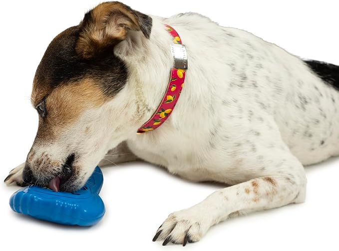 PetSafe Chilly Penguin Freezable Treat Holding Dog Toy, Small | Fill with Frozen Treats Like Peanut Butter or Wet Dog Food, Vanilla-Scented and Stackable Design, Top-Shelf Dishwasher Safe - Image 3