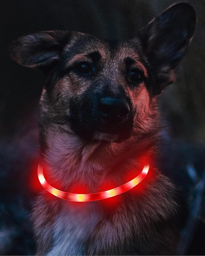 Joytale Light Up Dog Collar, LED Silicone Cut-to-Fit Rainproof, Red | Soft Skin-Friendly Won't Chafe, 360° Glow Keeps Dogs Visible at Night, 3 Modes, Rechargeable USB-C, Small Medium Large Dogs - Image 3