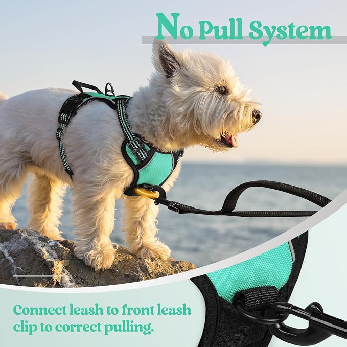 rabbitgoo Dog Harness, No Pull for Small Dogs with 2 Leash Clips, Pet Vest | No Choke with Handle, Adjustable Soft Padded, Reflective, Easy Control for Walking, Turquoise, X-Small - Image 5