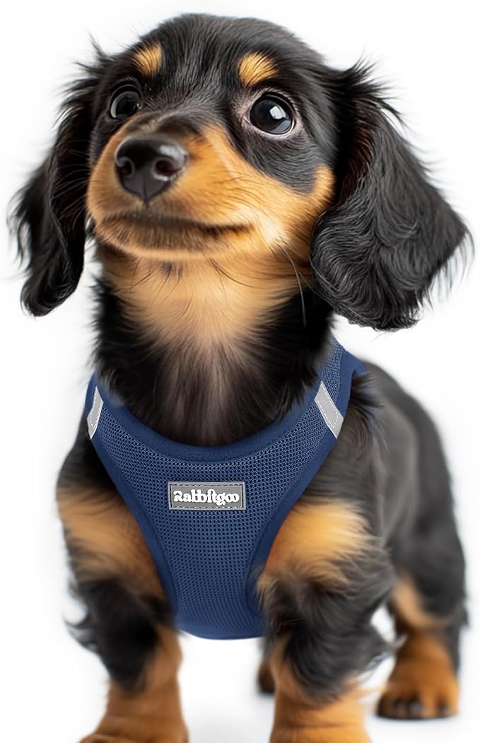 rabbitgoo Step-in Small Dog Harness, Puppy Vest for Small Sized Pet | Easy Put on and off, Lightweight, Soft, Breathable Quick-Dry Air Mesh for Comfortable Secure Walking, Navy Blue XXS by rabbitgoo