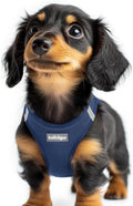 rabbitgoo Step-in Small Dog Harness, Puppy Vest for Small Sized Pet | Easy Put on and off, Lightweight, Soft, Breathable Quick-Dry Air Mesh for Comfortable Secure Walking, Navy Blue XXS by rabbitgoo