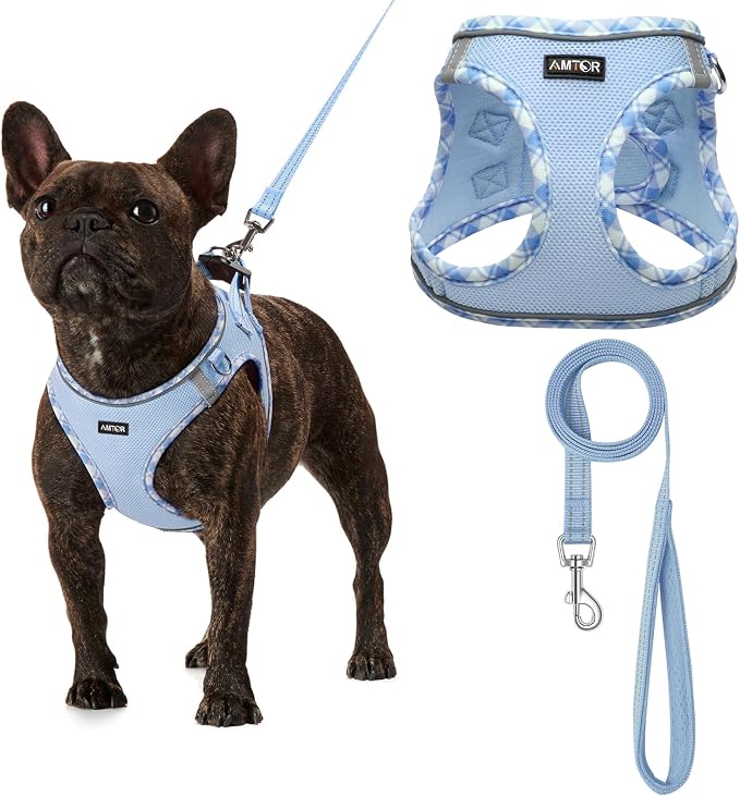 AMTOR Small Dog Harness with Leash Set, No Escape Easy Walk Puppy Harnesses for Training Walking, Step-in Reflective Soft Dogs Vest for XS S Medium Extra-Small Large Sized Dog(Blue/White,XXS) by AMTOR