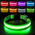 PcEoTllar Light up Dog Collar, Safe for Night Walking, Adjustable, Green, L | Colorful RGB Light, Waterproof, For Small Medium and Large Dogs, Durable Material, USB to Charge by PcEoTllarPetSupplies