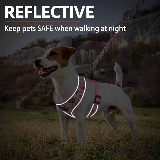 PUPTECK Small Dog Harness and Leash Set No Pull for XS XXS Sized Dogs Puppy | Escape Proof No Choke Pet Cat Adjustable Soft Padded Walking Vest - Image 6