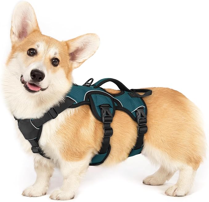 rabbitgoo Escape Proof Dog Harness for Small, No Pull with Lift Handle | No Escape, Full Soft Padded, Reflective Adjustable Vest, Leash Clip for Walking Hiking Training, Dark Green, Small by rabbitgoo