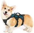rabbitgoo Escape Proof Dog Harness for Small, No Pull with Lift Handle | No Escape, Full Soft Padded, Reflective Adjustable Vest, Leash Clip for Walking Hiking Training, Dark Green, Small by rabbitgoo