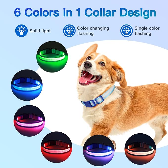 LED Light Up Dog Collar for Night Safety Walks, Blue, M | USB rechargeable, waterproof & pet-safe, 3 lighting modes, long-lasting glow, adjustable S/M/L, soft comfy daily walk fit - Image 2