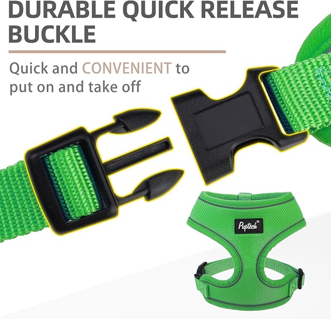 PUPTECK Small Dog Harness and Leash Set No Pull for XS XXS Sized Dogs Puppy | Escape Proof No Choke Pet Cat Adjustable Soft Padded Walking Vest - Image 4