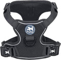 PoyPet Mesh Dog Harness, Reflective Breathable Puppy Vest for Small Dogs | Lightweight, Soft Air Mesh, Back D-ring, Adjustable, Comfortable, Double Padded, No Choke, for Daily Walking, XS, Black by PoyPet