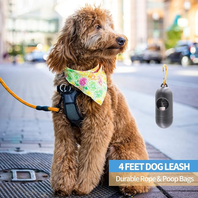 2/4/5/6 FT Dog Leash with Comfortable Padded Handle and Highly Reflective Threads for Small Medium and Large Dogs (4FT-1/2'', Orange) - Image 5