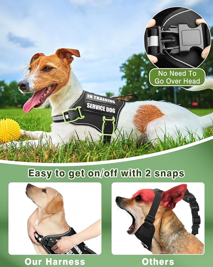 Service Dog Vest Harness and Leash Set+10 Patches for Puppy Small Dogs,Do Not Pet Emotional Support Dog Vest with 2 Soft Padded Handle for Everyday/Training (Black XS) | Adjustable Reflective Do Not Pet Emotional Support Dog Vest with 2 Soft Padded Han... - Image 3