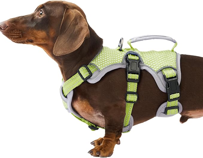 Escape Proof Dog Harness, Dachshund Harness, Reflective Dog Harness with Handle, Durable,Adjustable Vest for Small Medium Large Dogs Walking, Training, and Running Gear (Green,S) by Huntboo